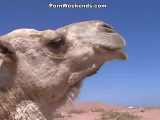 X يتم التصويت عليها قصاصة weekends: smashing هائل محبوب تجاربه في ال شاطئ